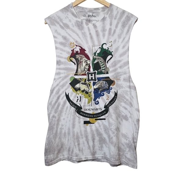 Wizarding World Harry Potter Class Tee Size Large - Picture 1 of 7